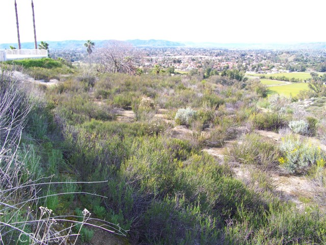 42540 Brix, Hemet CA: https://media.crmls.org/medias/586d7f8d-f600-4f14-a198-1e80e9916afa.jpg