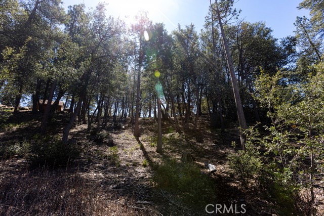 27799 Saunders Meadow Road, Idyllwild, CA, 92549 27799 Saunders Meadow Road, Idyllwild, CA, 92549