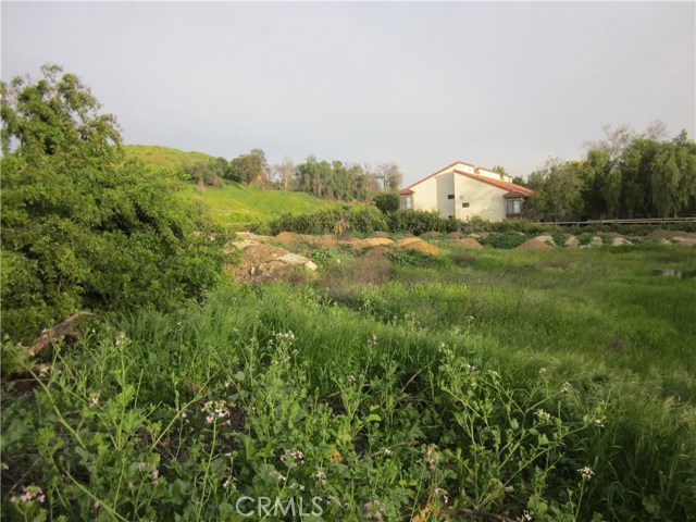 Image 4 of 12 For 11819 Kagel Canyon