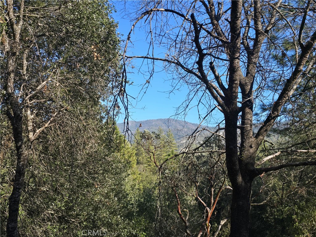 https://media.crmls.org/medias/58754308-e851-4cc9-8cad-31db9b0bc0e8.jpg?preset=X-Large