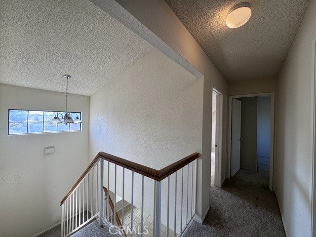29813 Park City Avenue, Menifee CA: https://media.crmls.org/medias/587d96b9-8ad9-42d1-be33-8603e623d2bd.jpg