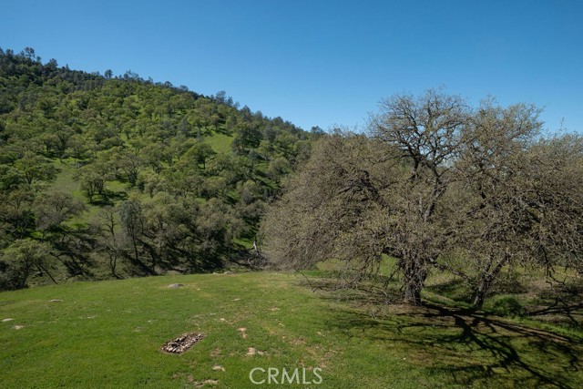 Detail Gallery Image 28 of 63 For 2935 Sorrel Ln, Paso Robles,  CA 93446 - 4 Beds | 2/1 Baths