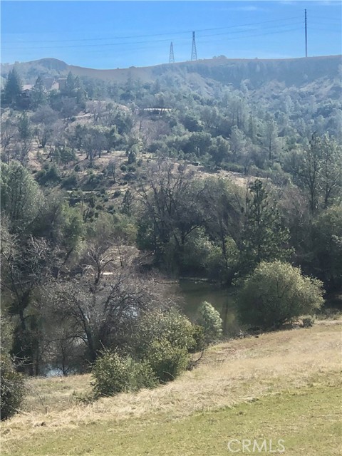 View from Meadow to the Pond