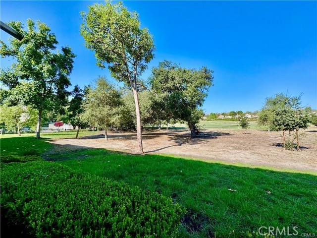 Front Image Thumbnail for CROC26038803