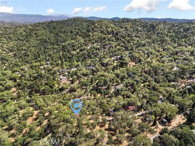 1700 S Way, Lake Arrowhead, CA 92352