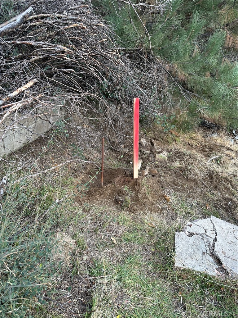 MLS #DW23216327 image #6