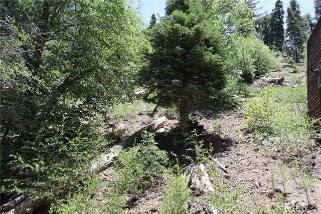 Detail Gallery Image 9 of 12 For 1013 Knickerbocker Rd, Big Bear Lake,  CA 92315 - – Beds | – Baths