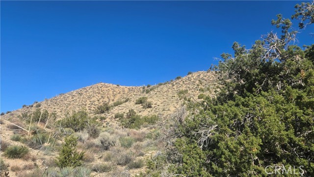 Detail Gallery Image 8 of 31 For 0 Pinon Road to Mescal Highlands, Llano,  CA 93544 - – Beds | – Baths