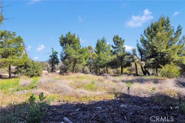 Detail Gallery Image 32 of 44 For 5635 Honeyhill Rd a & B,  Oak Hills,  CA 92344 - 3 Beds | 1 Baths