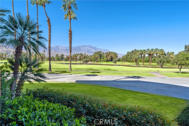 Detail Gallery Image 11 of 47 For 910 Island Drive #112,  Rancho Mirage,  CA 92270 - 2 Beds | 2 Baths