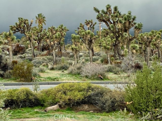 https://media.crmls.org/medias/589a5290-7fdb-4d08-bb14-1c13daa423ea.jpg?preset=X-Large