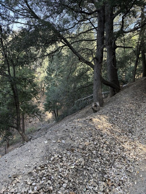 Detail Gallery Image 13 of 16 For 0 Mojave River Rd, Cedarpines Park,  CA 92322 - – Beds | – Baths