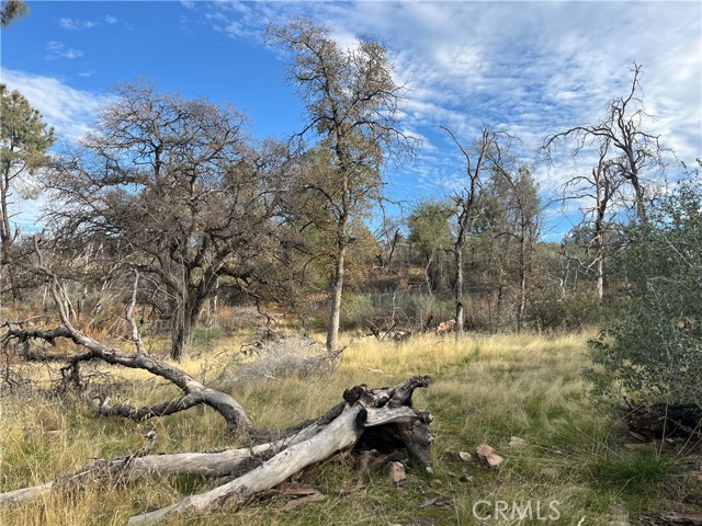 Detail Gallery Image 68 of 69 For 4934 Guadalupe Fire, Catheys Valley,  CA 95306 - – Beds | – Baths