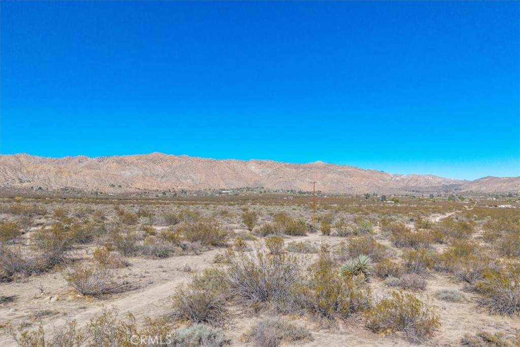 MLS #JT25257903 image #11