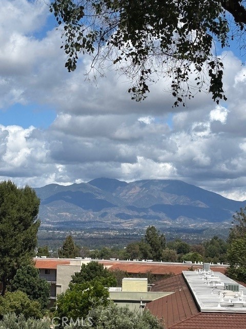 Front Image Thumbnail for CROC26073760