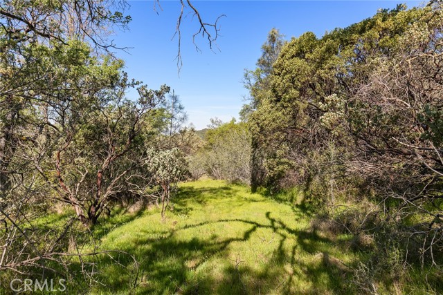 Detail Gallery Image 13 of 20 For 0 Louise, Oroville,  CA 95965 - – Beds | – Baths