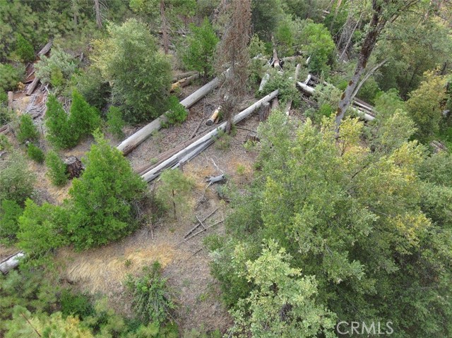 50 Dogwood Creek, Bass Lake, CA, 93604 50 Dogwood Creek, Bass Lake, CA, 93604