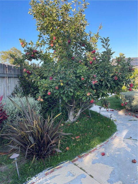 11801 Loara Street, Garden Grove CA: https://media.crmls.org/medias/58a39dfb-99e3-4e26-bf3d-6595449e5907.jpg