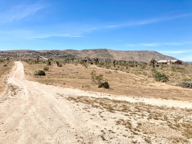 Detail Gallery Image 4 of 8 For 23777 Poppy Rd, Apple Valley,  CA 92308 - – Beds | – Baths