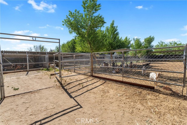 10004 E Avenue S10, Littlerock CA: https://media.crmls.org/medias/58c9e52e-ba77-4593-abb3-51d92aaf2733.jpg