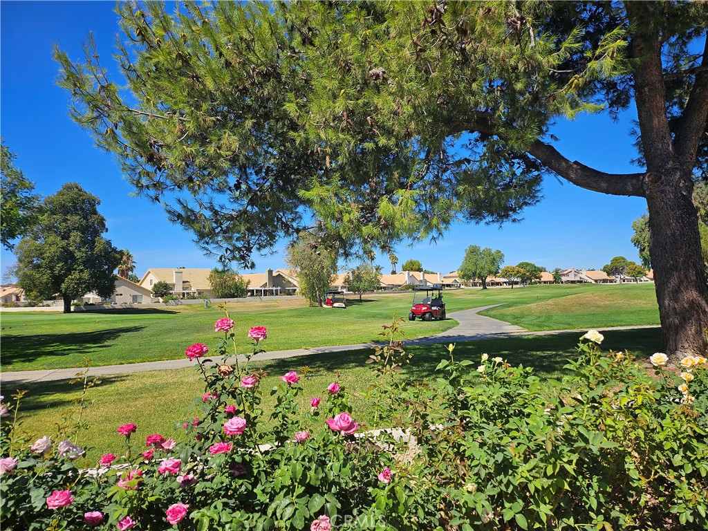 MLS #IG25191309 image #42