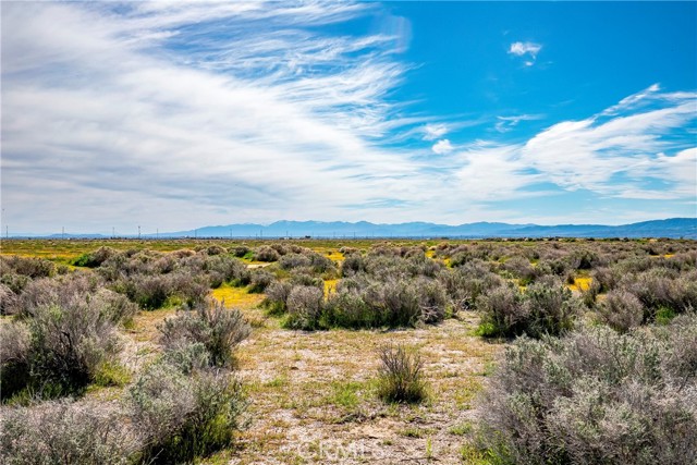 Detail Gallery Image 7 of 12 For 0 Avenue C-8, Antelope Acres,  CA 93536 - – Beds | – Baths