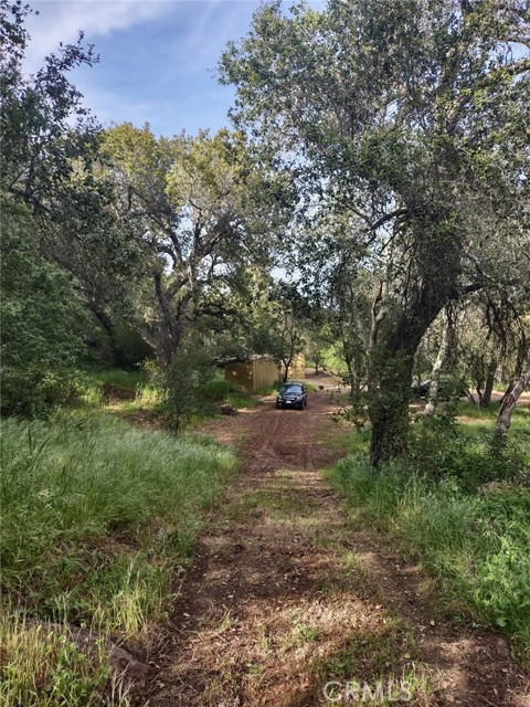 0 Avenida Perla Bonita, Murrieta CA: https://media.crmls.org/medias/58cbc5e8-5d28-4fac-ade7-8a49b0560160.jpg