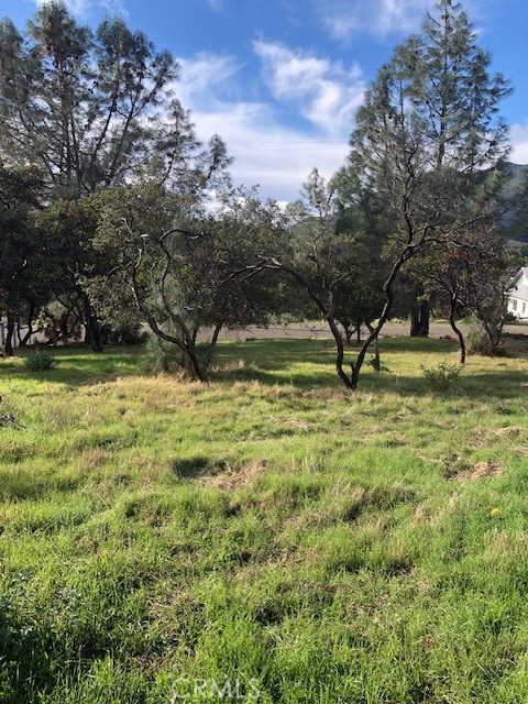 Front Image Thumbnail for CRLC25264675