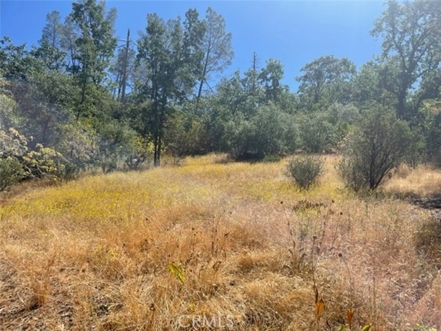Detail Gallery Image 5 of 17 For 0 Lot 2 Peckinpah Acres Dr, North Fork,  CA 93643 - – Beds | – Baths