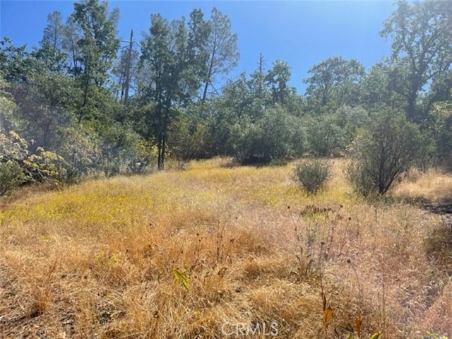 0 Peckinpah Acres Drive, North Fork, California 93643, ,Land,For Sale,0 Peckinpah Acres Drive,CRFR24049798