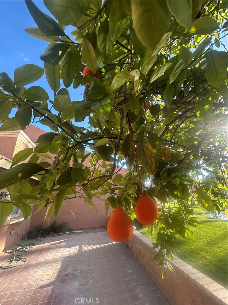 https://media.crmls.org/medias/58d7e605-4e79-49fc-afbe-07856b394107.jpg?preset=X-Large