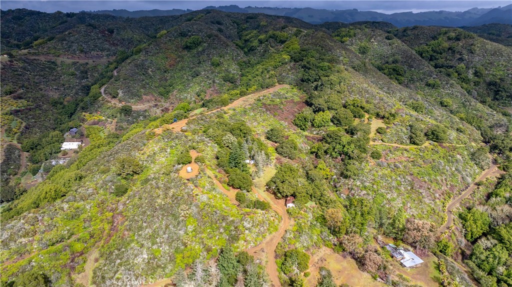 3395 Wallace Mountain Road