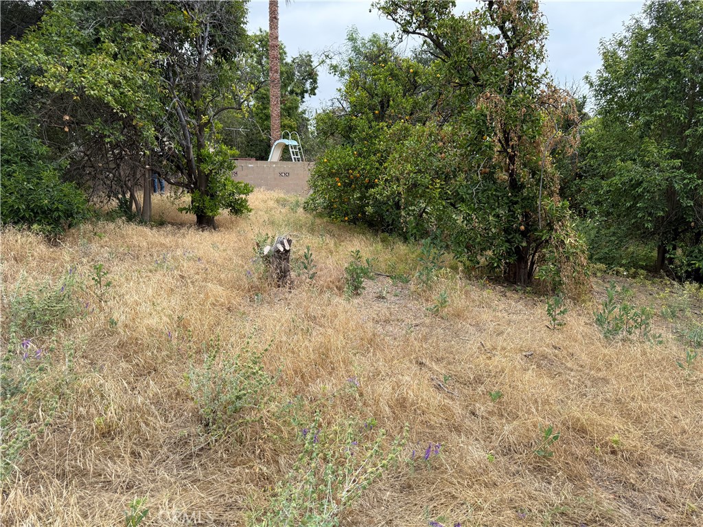 https://media.crmls.org/medias/58ee8806-7858-4ba8-8413-810e43a9e018.jpg?preset=X-Large