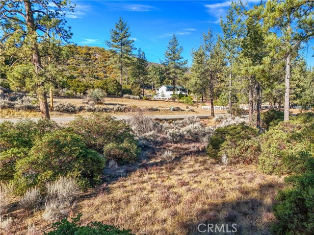 Detail Gallery Image 12 of 20 For 1 Pipe Creek Rd, Mountain Center,  CA 92561 - – Beds | – Baths