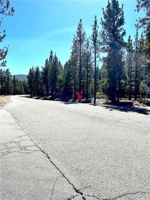 2 Hemlock Lane, Big Bear City, California 92314, ,Land,For Sale,2 Hemlock Lane,CREV23187888