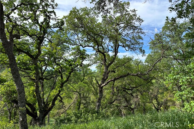 Detail Gallery Image 24 of 26 For 16475 River Heights Dr, Red Bluff,  CA 96080 - – Beds | – Baths