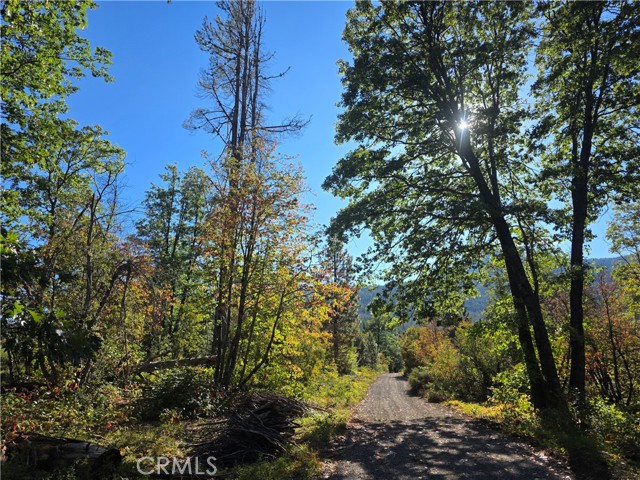 Detail Gallery Image 15 of 22 For 0 Muledeer Rd., Weed,  CA 96094 - – Beds | – Baths