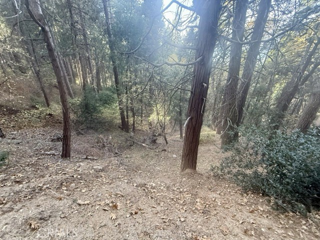 61 Lot - El Valle Road, Cedarpines Park CA: https://media.crmls.org/medias/58fa4d05-1286-46f1-8685-4d188e806bfd.jpg