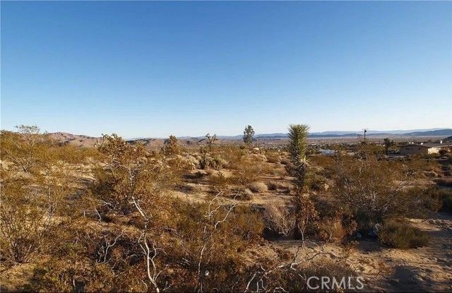 Detail Gallery Image 5 of 6 For 7275 Saddleback, Joshua Tree,  CA 92252 - – Beds | – Baths