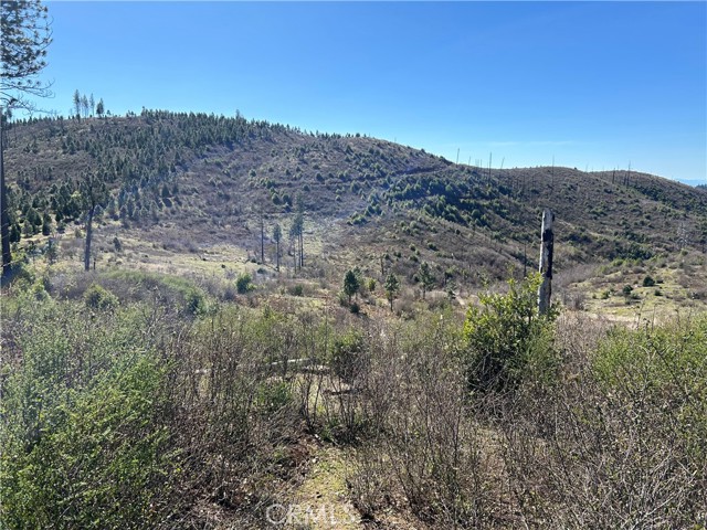 0 Hog Ranch Rd., Paradise, California 95965, ,Land,For Sale,0 Hog Ranch Rd.,CRPT24051656