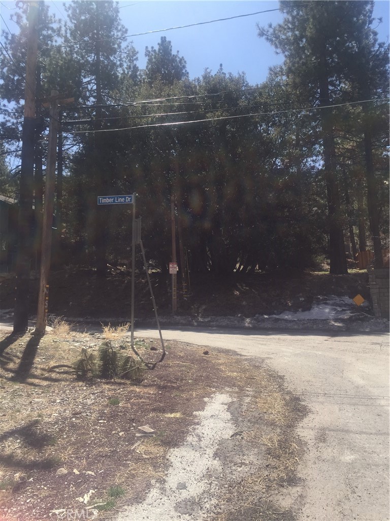 0 Timberline Drive, Wrightwood, CA 92397