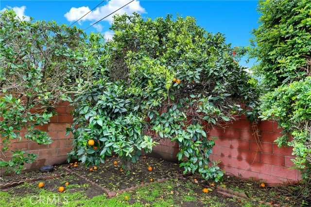 Detail Gallery Image 32 of 32 For 2218 Lewis St, Santa Ana,  CA 92706 - 3 Beds | 2 Baths