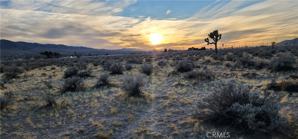 MLS #IV25049226 img 16