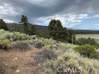 0 Ponderosa, Big Bear City, California 92314, ,Land,For Sale,0 Ponderosa,CROC20150732