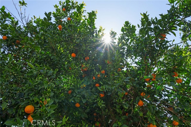 Detail Gallery Image 35 of 36 For 7166 Orchard St, Riverside,  CA 92504 - 3 Beds | 1/1 Baths