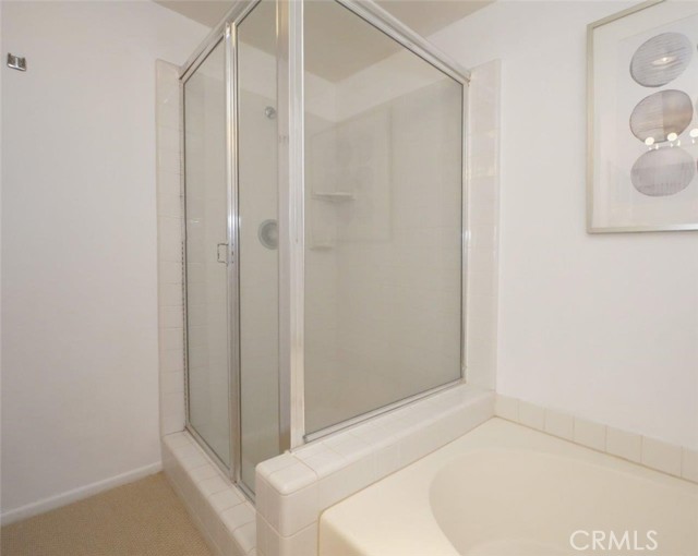 Master Walk-in Shower