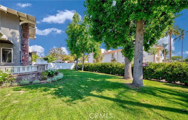 Side Yard