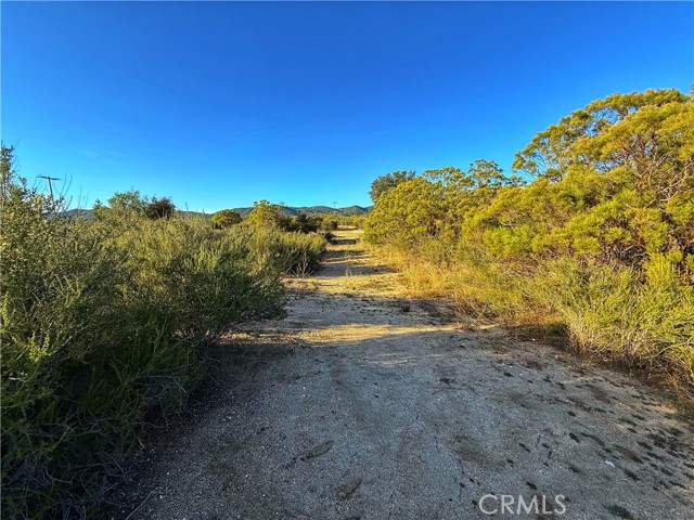 Detail Gallery Image 18 of 20 For 3 Chihuahua Valley Rd, Warner Springs,  CA 92086 - – Beds | – Baths
