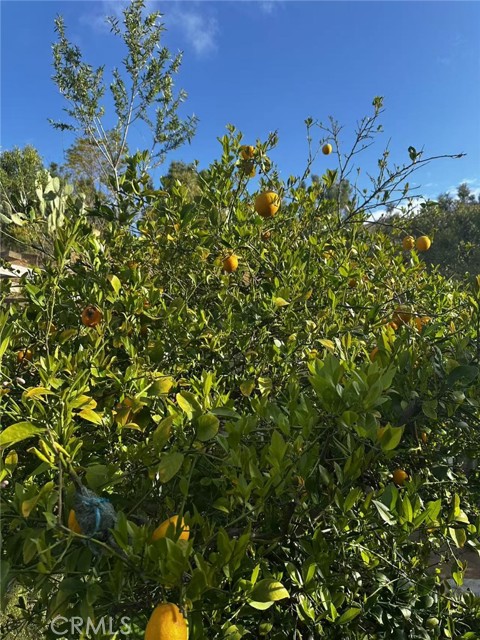 7929 bolton ave, Riverside CA: https://media.crmls.org/medias/59258bf1-07c7-4b6b-9ea3-0649da7cade0.jpg