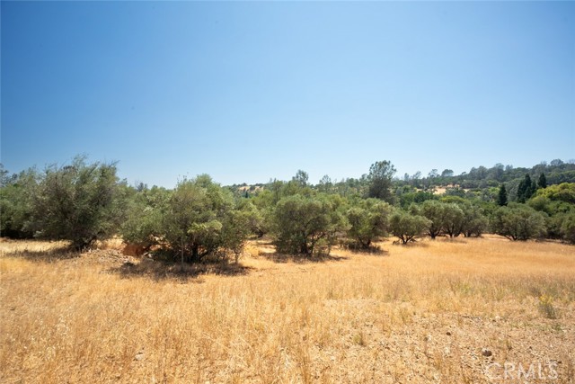 56 Canal Drive, Oroville, California 95966, ,Land,For Sale,56 Canal Drive,CROR23137441